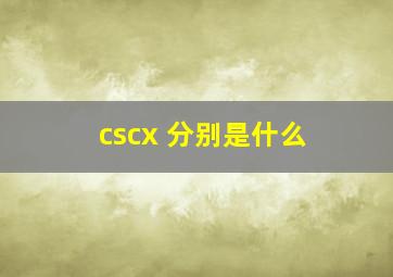 cscx 分别是什么